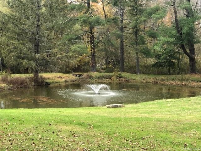 20 Abbeyfield Ln, Brewster, NY 10509 - photo 1