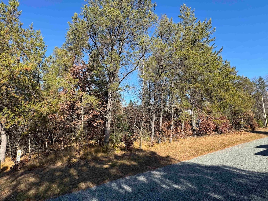 Lot 68 Whistling Wings, New Lisbon, WI 54650 - photo 1