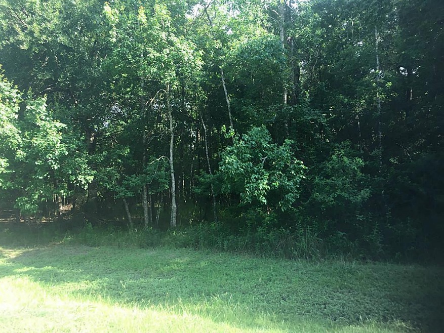 23403 Green Forest St, Hockley, TX 77447 - photo 1