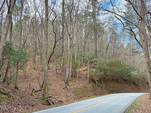 0 Clay Creek Falls (21+ - Ac) Rd, Dahlonega, GA 30533 - photo 1