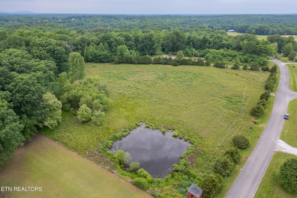 mls-DJI_0718-HDR