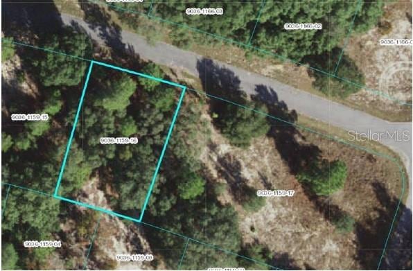 0 Tbd Fisher Way Pass, Ocklawaha, FL 32179 - photo 1