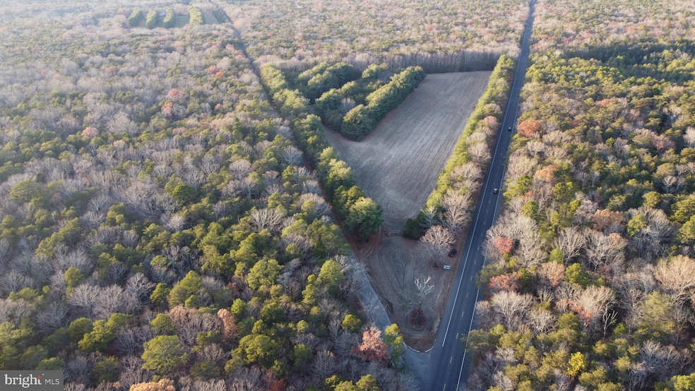 0 Route 347 and Carlisle Place Rd unit NJCB2027664, Dorchester, NJ 08316 - photo 1