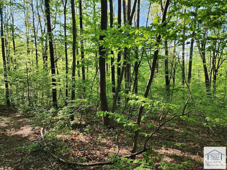 00 Woolwine Hwy, Woolwine, VA 24185 - photo 1