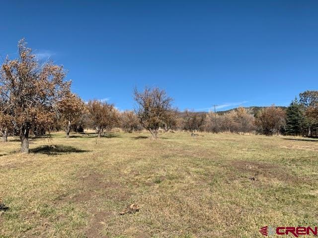 23687 Ute Trail Rd, Cedaredge, CO 81413 - photo 1