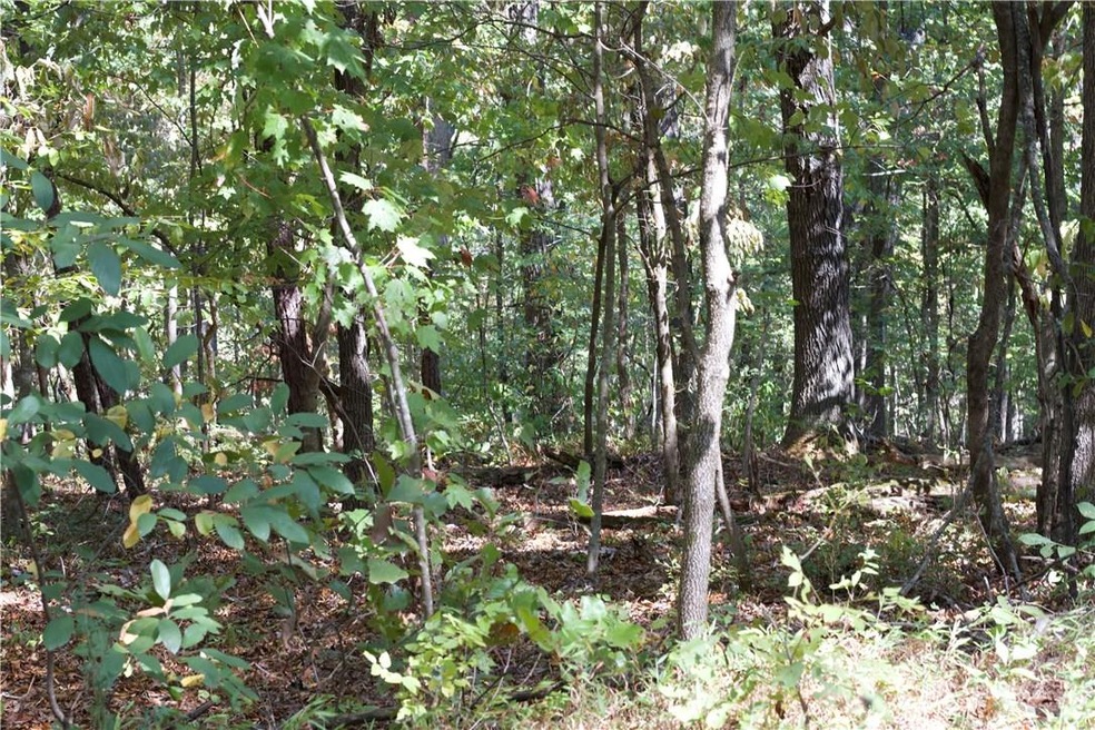 10 Kiswick Cir, Bella Vista, AR 72714 - photo 1