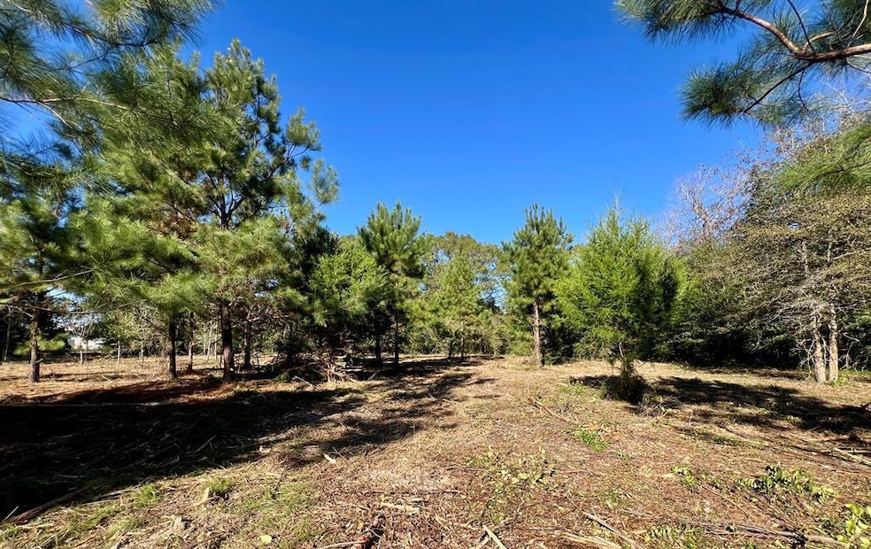 0 Washington Ave, Fitzgerald, GA 31750 - photo 1