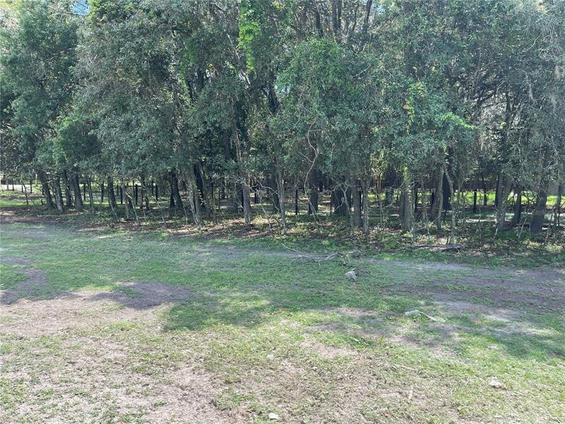 0 Drum Rd, Zephyrhills, FL 33541 - photo 1