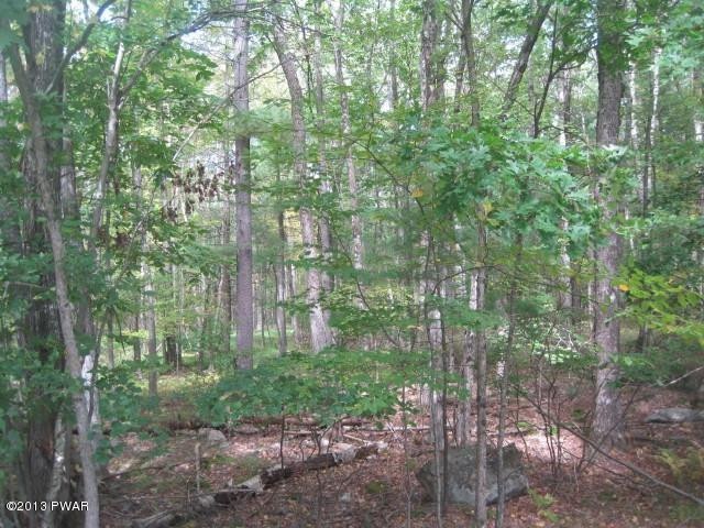 Lot 692 Club House Dr, Lackawaxen Township, PA 18428 - photo 1