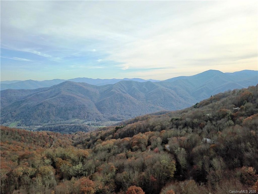 Drone photo with estimated view in front of trees at street level
