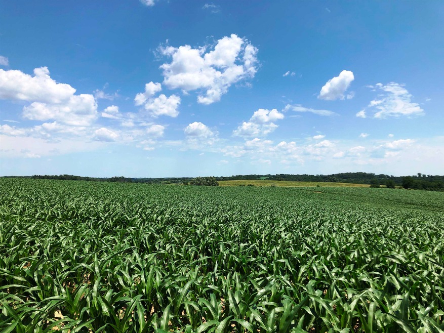 98.33 acres Pikes Peak Rd, Lancaster, WI 53813 - photo 1