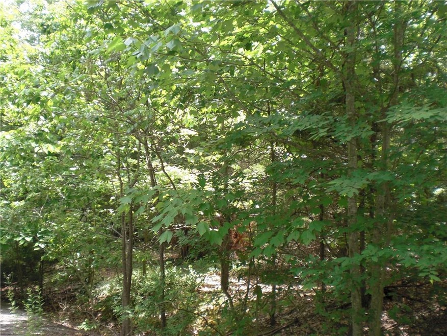 0 Ludlow Cir unit 1031218, Bella Vista, AR 72715 - photo 1