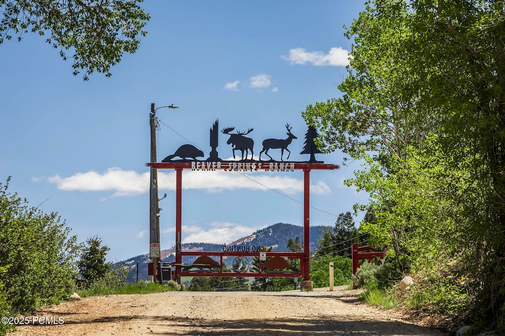 001_5428coulter40_727