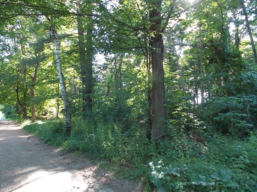 road view