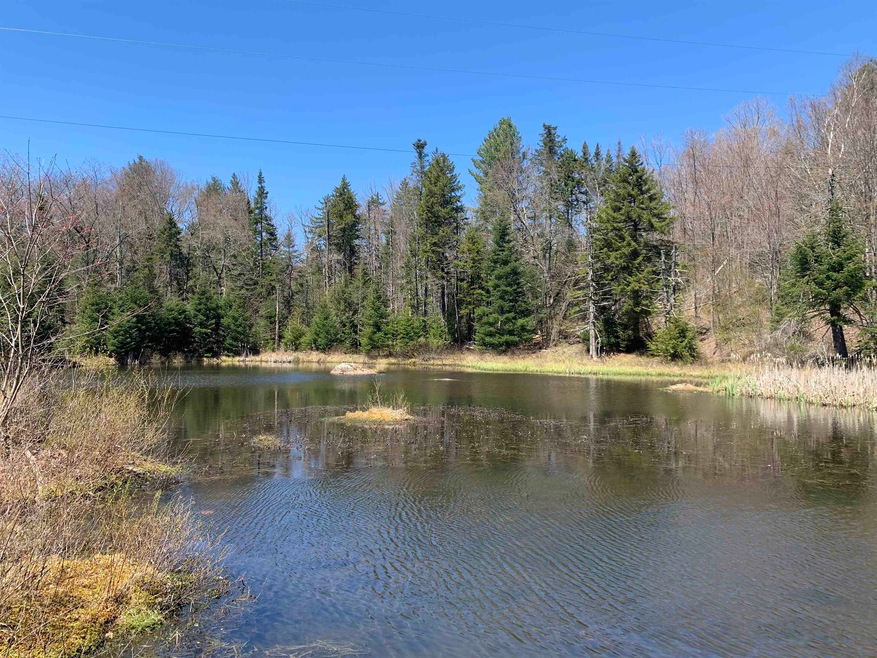 3835 Vt Route 100, Readsboro, VT 05350 - photo 1