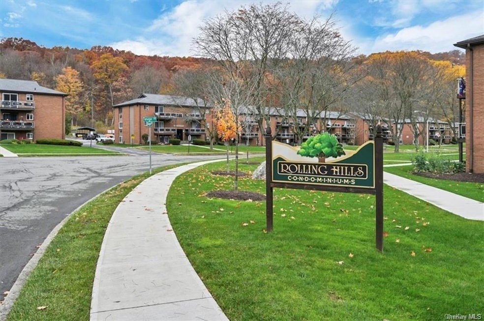 21 Tanager Rd unit 2105, Monroe, NY 10950 - photo 1