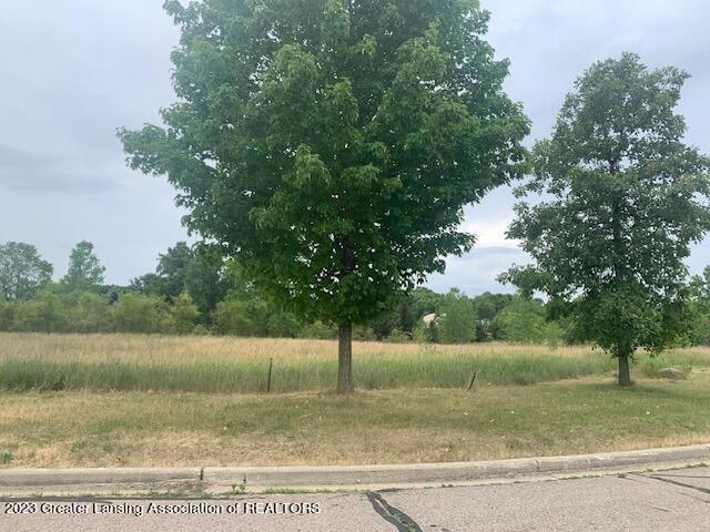 2844 Trillium Creek Way, St. Johns, MI 48879 - photo 1