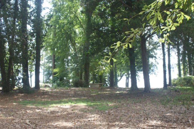 17 Saint Francis Rd, Eufaula, AL 36027 - photo 1