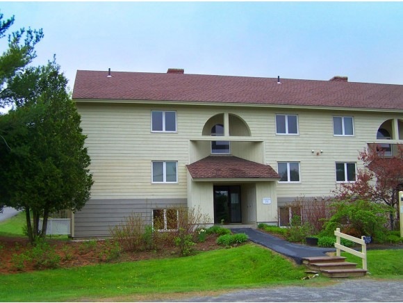 - Carinthia Rd unit 2F, Dover, VT 05356 - photo 1