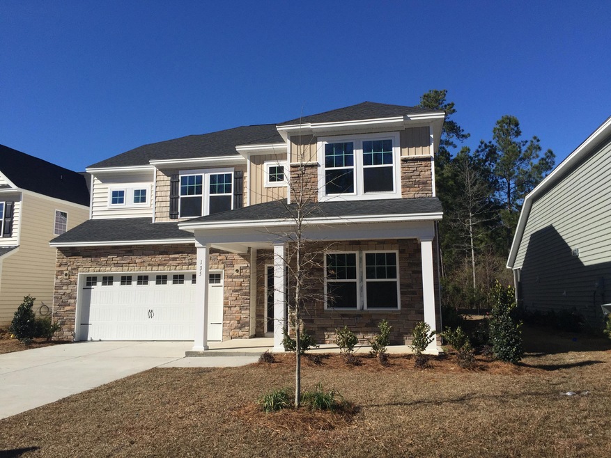 135 Blackwater Way, Moncks Corner, SC 29461 - photo 1