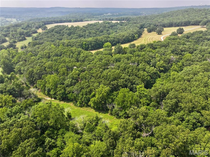 Aerial view of a forest
