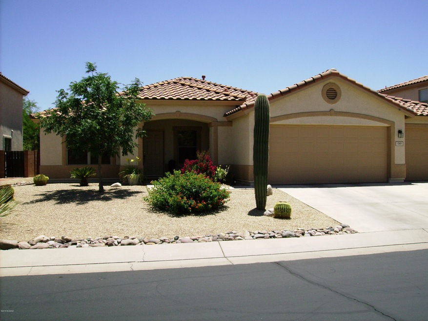 IMGP0290