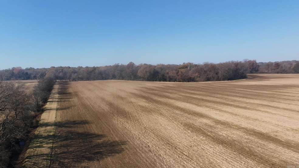 0 Hwy 280 unit 25046346, Peach Orchard, AR 72453 - photo 1