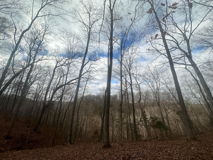 For Sale $16,800 • Co-Listing Agent