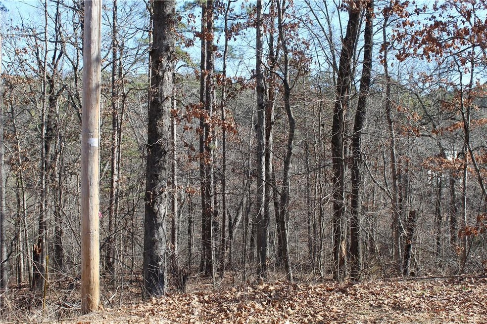 0 Ouse Ln, Bella Vista, AR 72714 - photo 1