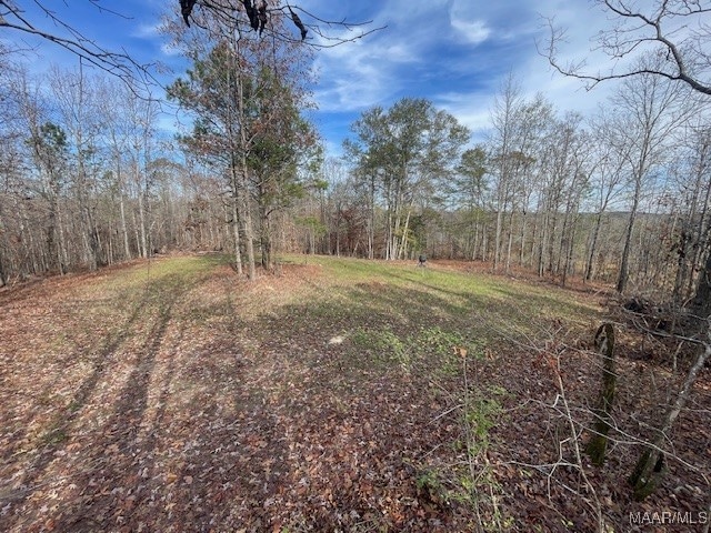 1300 Coosa County Road 71, Kellyton, AL 35089 - photo 1