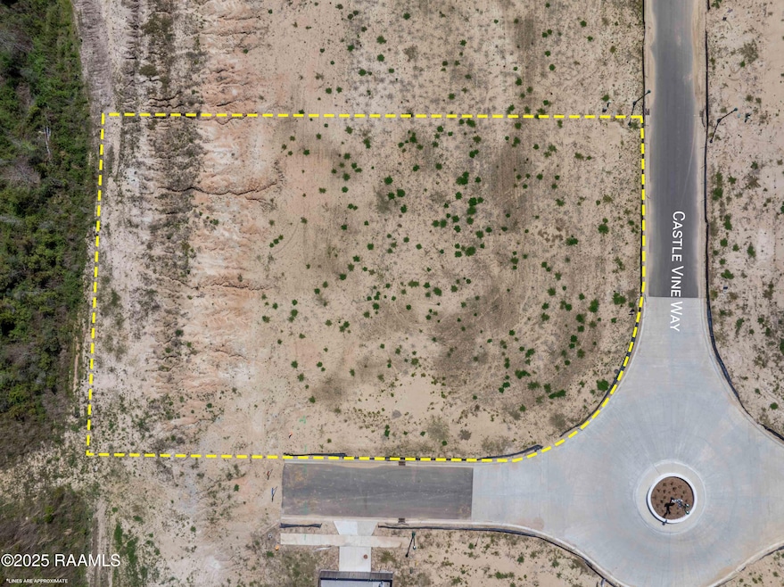 101CastleVineWay-3a