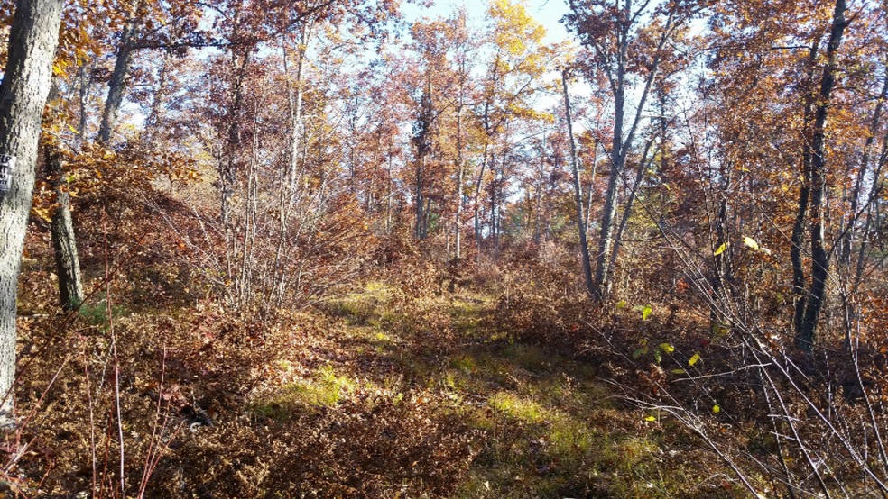 sheridan1