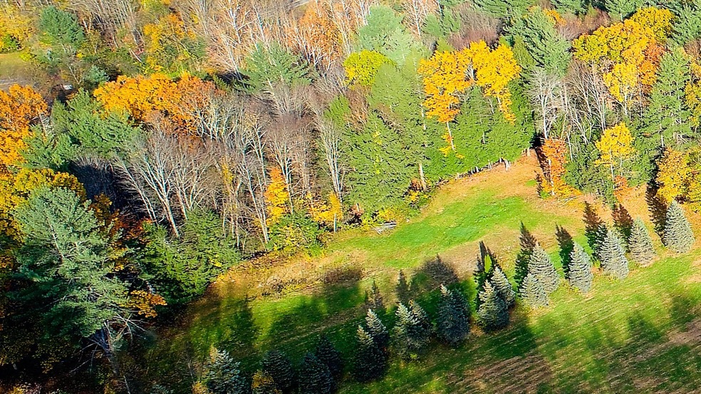 Lot 20.1 Farr Rd, Chesterfield, NH 03466 - photo 1