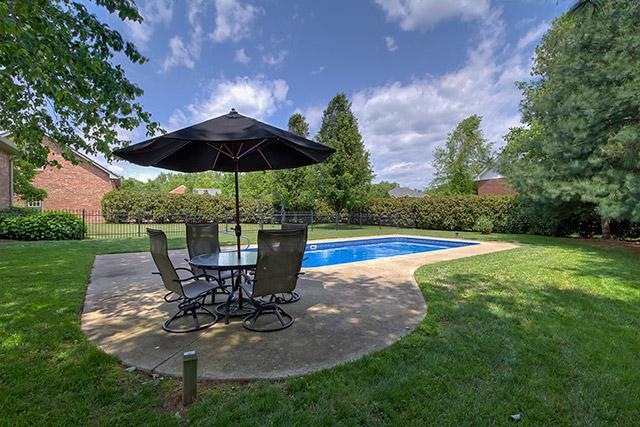 Privacy hedge for an enjoyable pool experience