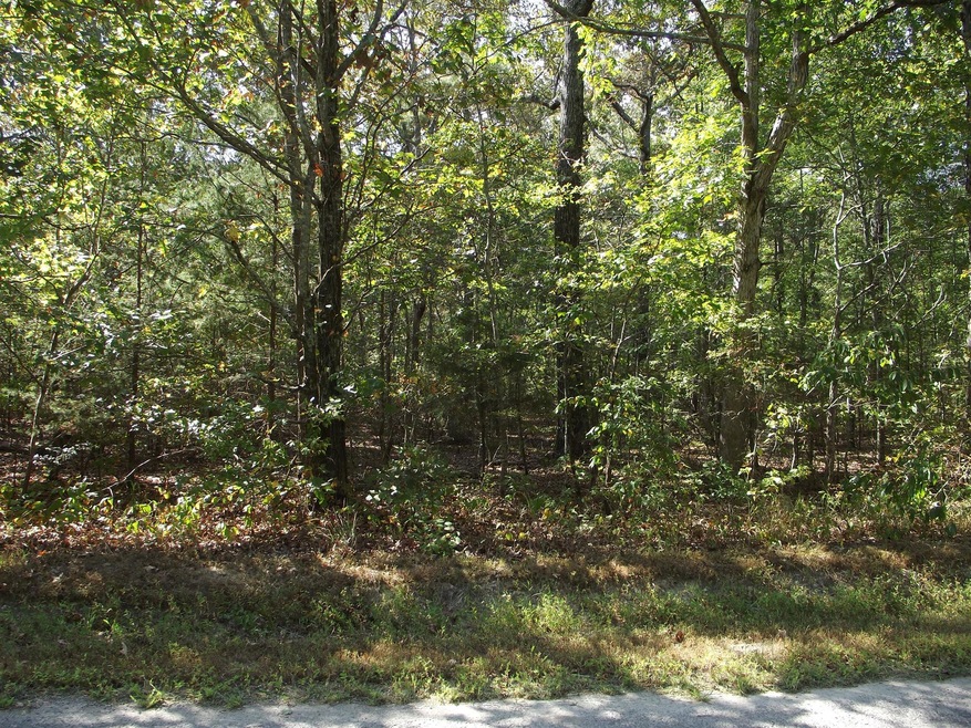 Vacant Land 2/5 Acres. Surround Yourself In Privacy And Build Your Dream Home.