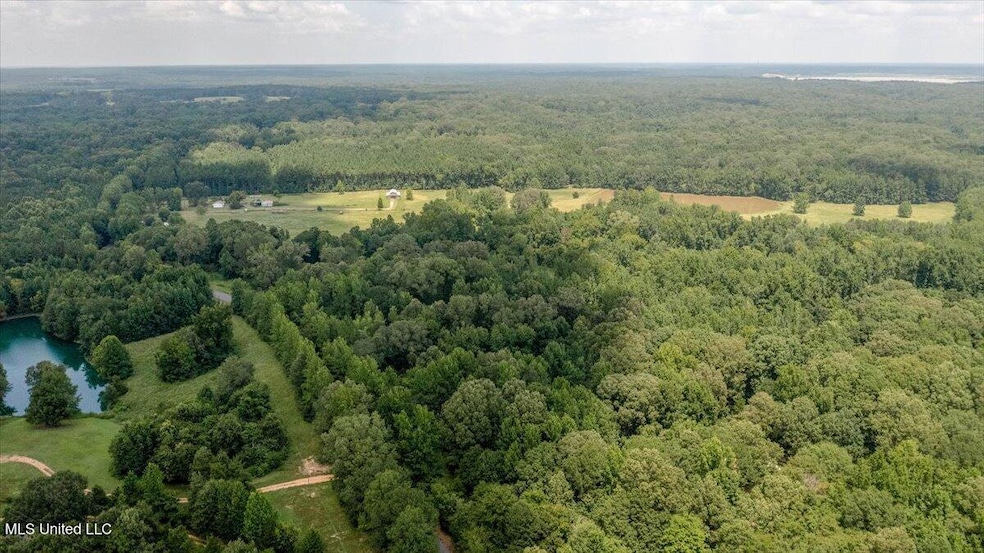 1968 Bend Rd, Coldwater, MS 38618 - photo 1