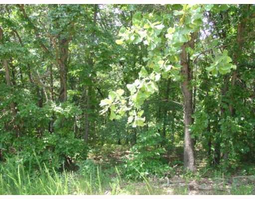 0 Ilford (Lot 23) Ln unit 549726, Bella Vista, AR 72714 - photo 1