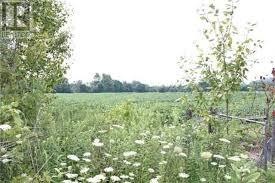 Vacant Land.jpg