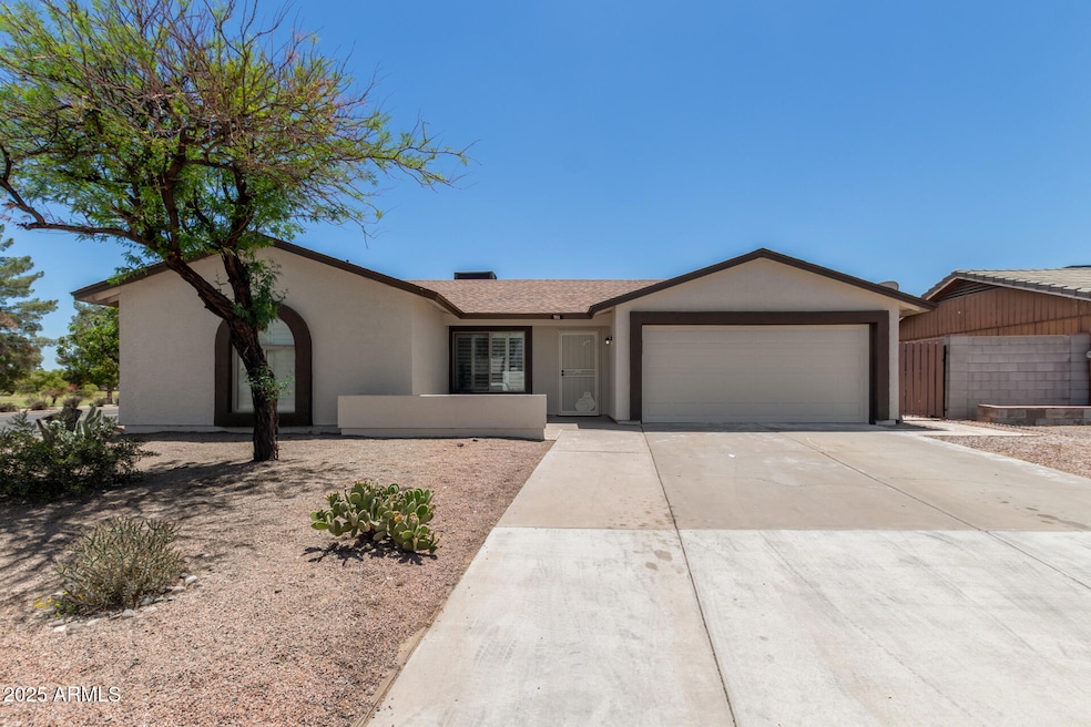 01 - Mesquite 701