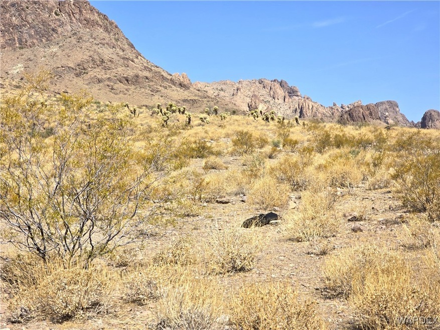 Beautiful view lot bordered by BLM land