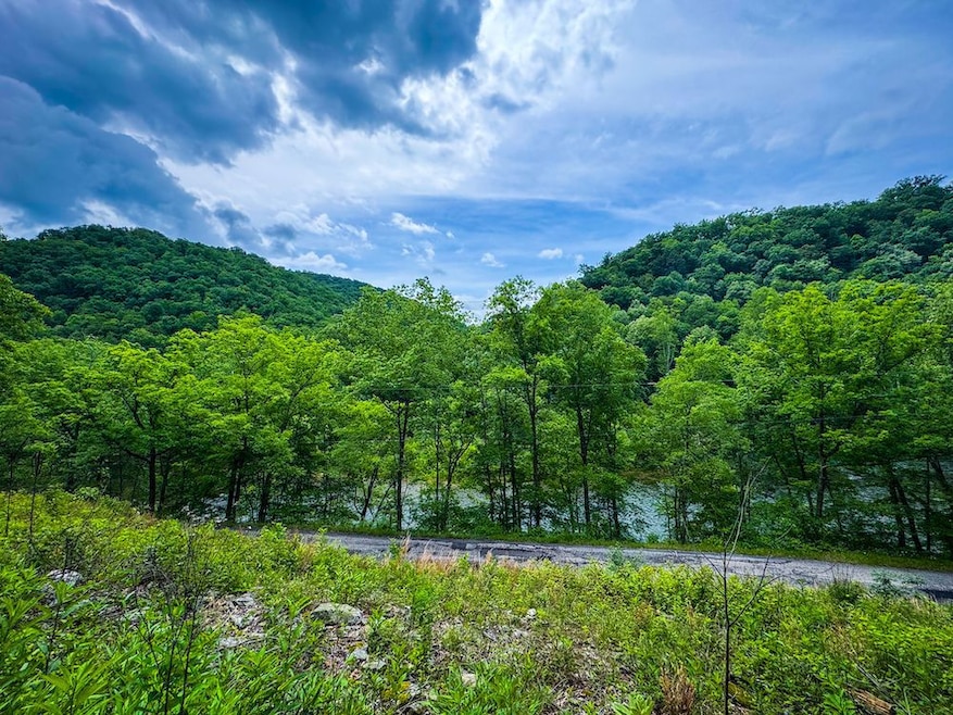 Elk River Rd unit Lot WP001, Procious, WV 25164 - photo 1