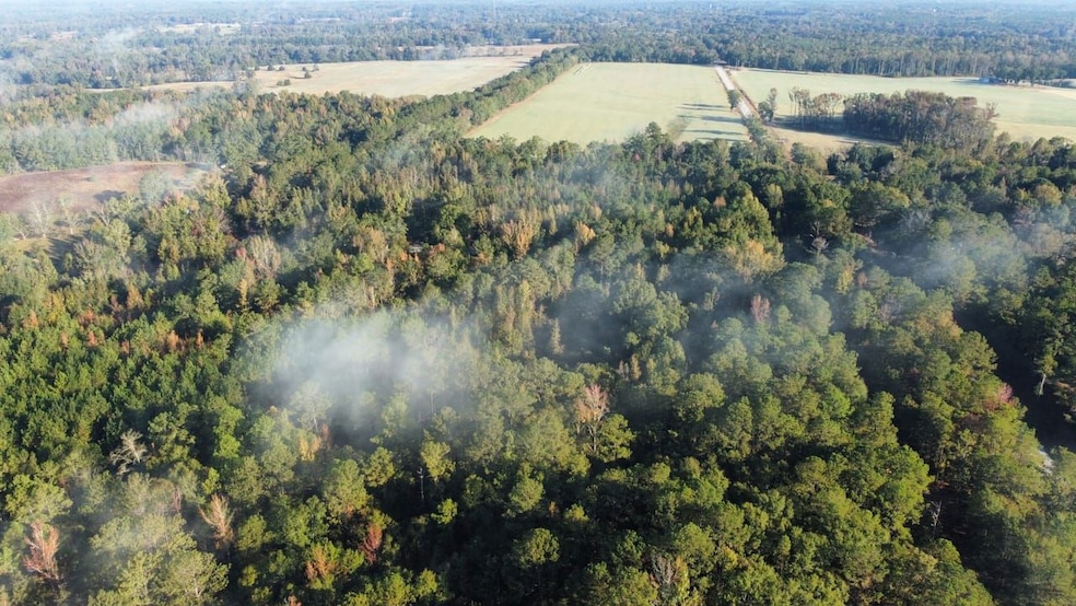 0 Highway 81, Notasulga, AL 36866 - photo 1