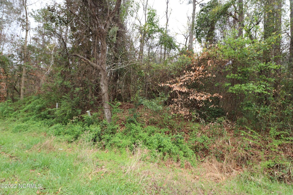 1213 Country Club Rd, Jacksonville, NC 28546 - photo 1