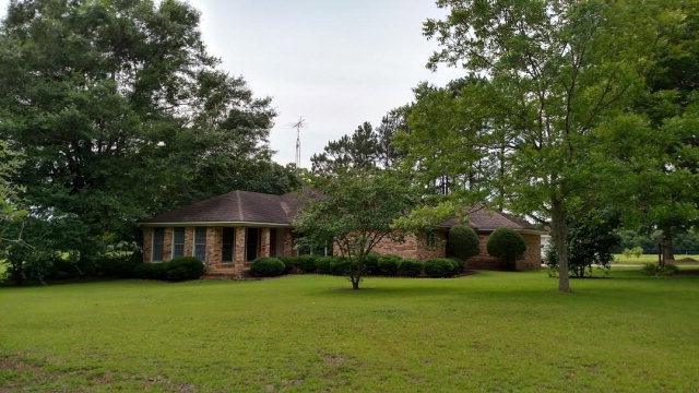 Main View