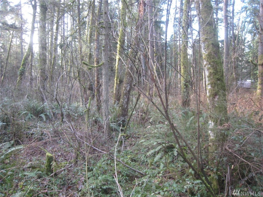 46 Xx Lot D 192nd St NW, Stanwood, WA 98292 - photo 1