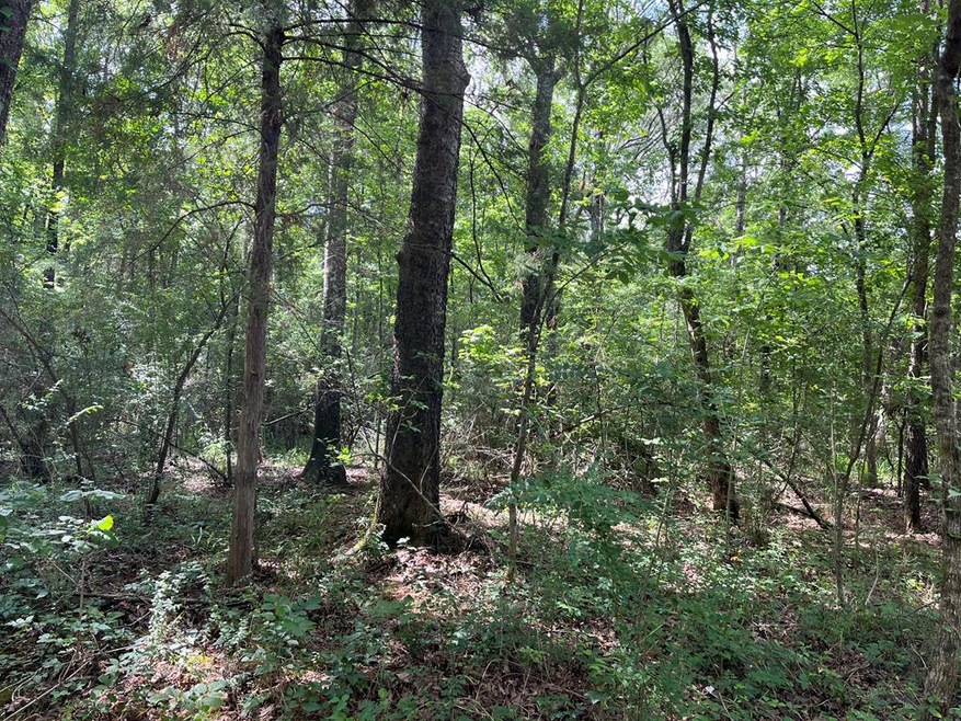 0000 Farm To Market Road 2864, Nacogdoches, TX 75965 - photo 1