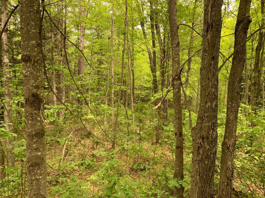 Lot 5 Somo Ridge Dr, Tomahawk, WI 54487 - photo 1