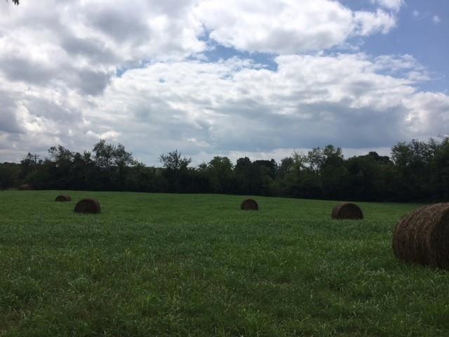 1 Shelbyville Mills Rd, Shelbyville, TN 37160 - photo 1