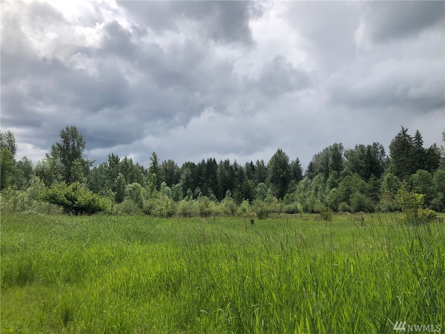 30404 Meridian E, Graham, WA 98338 - photo 1