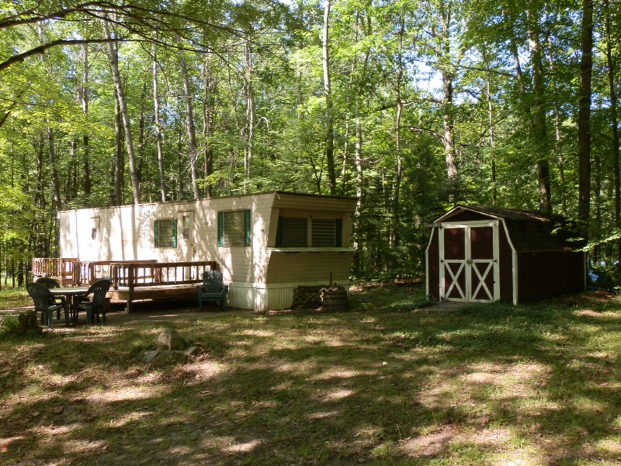 173 E Forest Trail, Le Roy, MI 49655 - photo 1
